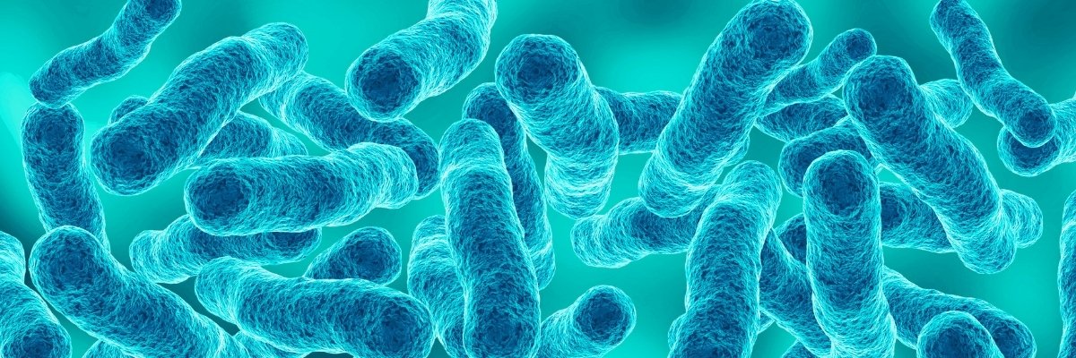 Legionella vista al microscopio