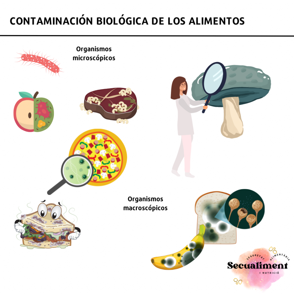 Agentes biológicos causantes de toxiinfecciones.