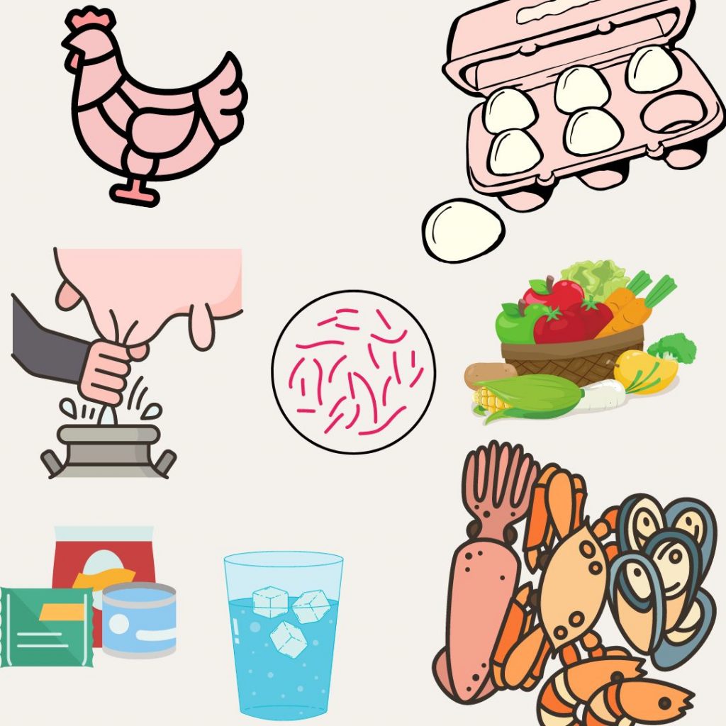 Alimentos asociados a la transmisión de Salmonella.