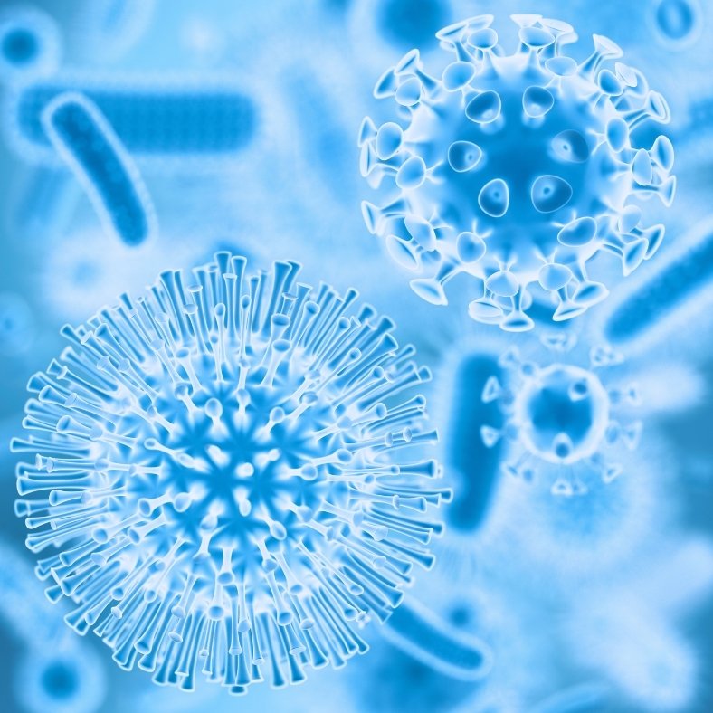 Virus observados a través del microscopio.