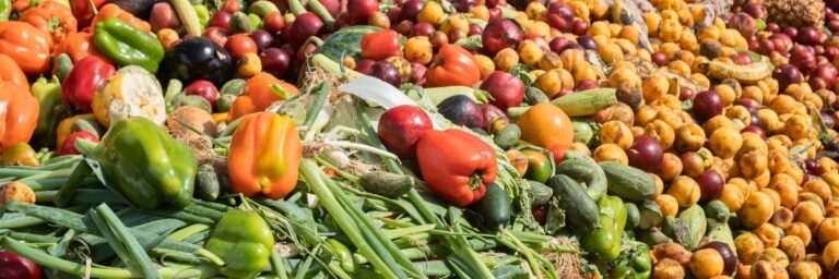 Alimentos que son aptos para el consumo humano con destino final el vertedero.