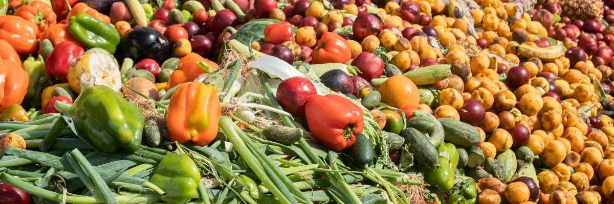 Alimentos que son aptos para el consumo humano con destino final el vertedero.