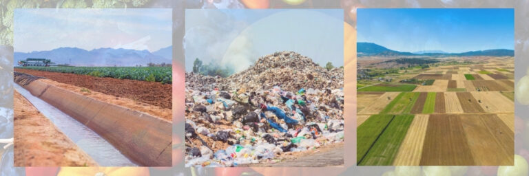 Composición sobre los impactos ambientales del desperdicio alimentario.